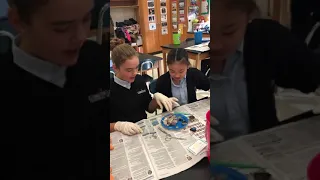 6th grade science students dissect a cow’s eye