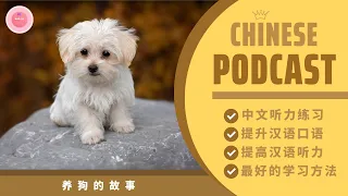 Câu Chuyện Nuôi Chó《养狗的故事》| Chinese Podcast