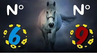 🐎 MÉTHODE POUR GAGNER AU PMU BASÉE SUR LES NUMÉROS 6 ET 9 EN SIMPLE PLACÉ ET/OU EN SIMPLE GAGNANT 🏇