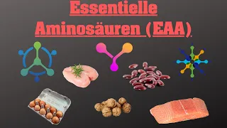 Die 8 essentiellen Aminosäuren (EAA’s)