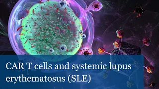 CAR T cells and systemic lupus erythematosus SLE (Marko Radic)