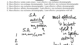 Protein purification table exam question