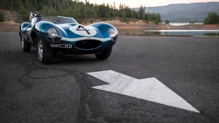 Jaguar D-Type: 24 Hours Of Le Mans Champion