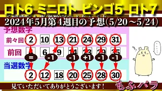 【2024年5月第4週（5/20〜5/24）】ロト６、ミニロト、ロト７の１等数字予想！とビンゴ５の購入数字です。BGM大きい音かも・・・（もふもふパラダイス）