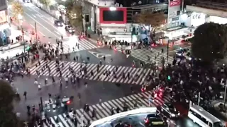 Japan vs Germany | Japanese celebrating victory against Germany in FIFA World Cup 2022