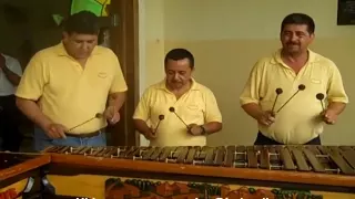 Marimba Usula Merengue en Cofradía Cortes Honduras