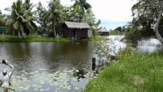 CUBA, GUAMA