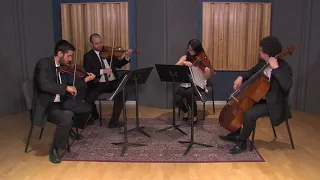 Canon in D by Pachelbel performed by the Embassy String Quartet