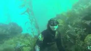 GoPro: A Jungle Beneath The Waves