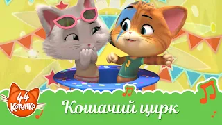 44 Котёнка | "Кошачий цирк" песня [ВИДЕОКЛИП]