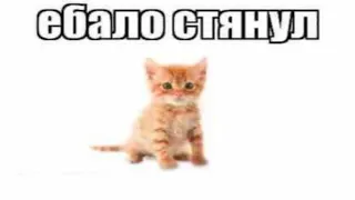 лицо стянул....