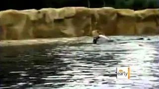 Sea World fighting fine after tragic death