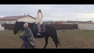 Карачаевский конь очень вынослив