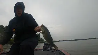 Indian Lake Major League Fishing BFL - Buckeye Division