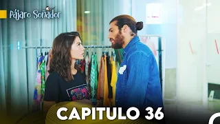 Pájaro soñador - Capitulo 36 (Audio Español) | Erkenci Kuş
