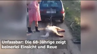 Unfassbares Hundedrama in Ungarn!