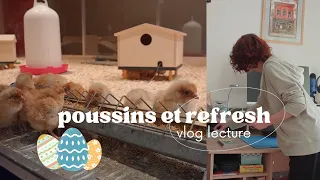 Visite des poussins & refresh cheveux | vlog lecture