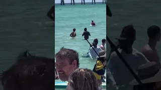 Giant Hammerhead Shark swimming circles around  beachgoers (Navarre Beach, FL)