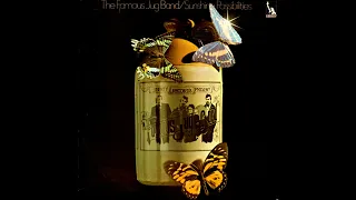 🇬🇧The Famous Jug Band ‎– Sunshine Possibilities : 07 Black Is The Colour