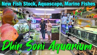 Aquarium Fish Price in Dhirsoni Aquarium & Pets Store in Thane