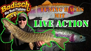 Tuning for your Line Thru Trout - more pike with these tricks [english sub titles]