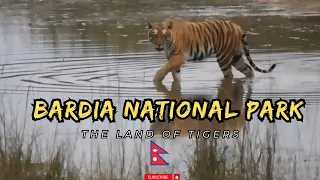 World's Best Wildlife Haven for Royal Bengal Tigers | Bardiya National Park NEPAL