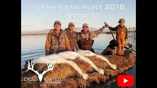 Utah Swan Hunt 2018 "3 For 3"