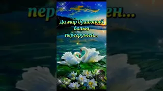 Ты береги себя, родной мой человек... (Автор: Инна Разумовская)