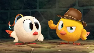 Where's Chicky? THE ADVENTURERS (S03E03) Cartoon in English for Kids | New episodes