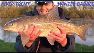 RIVER TRENT BARBEL FISHING. End Of Season Winter Barbel Fishing. 'Holding In The Flow' P1