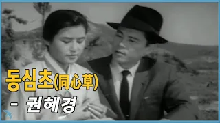 권혜경 - 동심초 (1964)