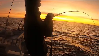 Shark Bay 2023 Fishing Madness