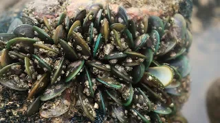 Xiaoyu rushed to the sea on the uninhabited island and found the gathering