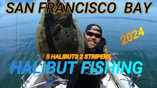 HALIBUT FISHING SF BAY 2024  ROUND 2 🔥👍💯🎣