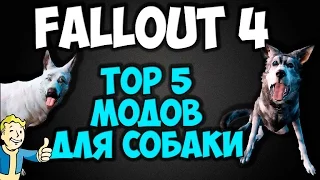 Fallout 4 - Top 5 модов для собаки