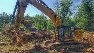 Cat 349F Pulling Big Stumps