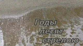 С. Трандафилов  - Годы летят стрелою /COVER/