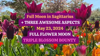 Full Moon in Sagittarius May 23, 2024+3 AWESOME ASPECTS Full Flower Moon TRIPLE BLOSSOM BOUNTY.