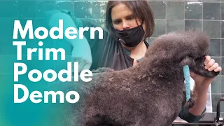 Modern Trim Poodle Grooming Demo with Helen Schaefer