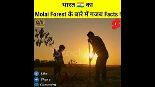 भारत 🇮🇳 का Molai Forest के गजब Facts😲|| #Shorts #Fact #Factland