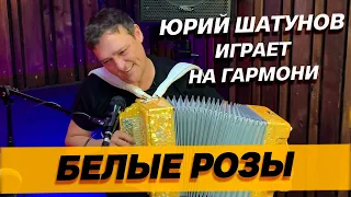 ЮРИЙ ШАТУНОВ играет БЕЛЫЕ РОЗЫ