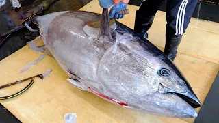 337kg GIANT Bluefin Tuna! Luxurious Sashimi, Sushi / Master’s Cutting Show! | Taiwanese street food