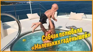 «Собчак и маленькие гаденыши» телеведущая в бикини прогулялась с детьми по пляжу