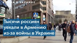 Россияне в Армении: репортаж из Еревана