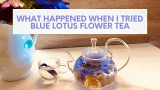 What Happened when I drank Blue Lotus Flower Tea - Time Travel!