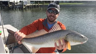 How To Catch Redfish In The Winter After A Cold Front