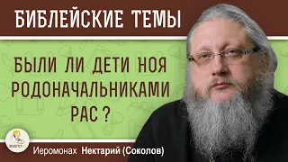 БЫЛИ ЛИ ДЕТИ НОЯ РОДОНАЧАЛЬНИКАМИ РАС ?  Иеромонах Нектарий (Соколов)