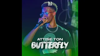 DJ ZERFLY - ATTISE TON BUTTERFLY VOL.2 (AFRO, AMAPIANO, DANCEHALL, BOUYON, TRAP)