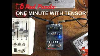 Red Panda Labs Tensor | One Minute Exploration