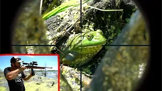 Epic SCOPE CAM Bullfrog Hunting!!! (Catch Clean Cook)